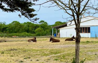 La Fleur des Marais - Maison tout confort au calme, grand jardin & balançoire - Foto 31