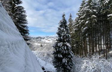 Wald-Chalet Vulkaneifel - Foto 2
