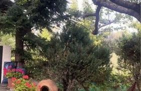 Sunrise View House Halkidiki! - Foto 24