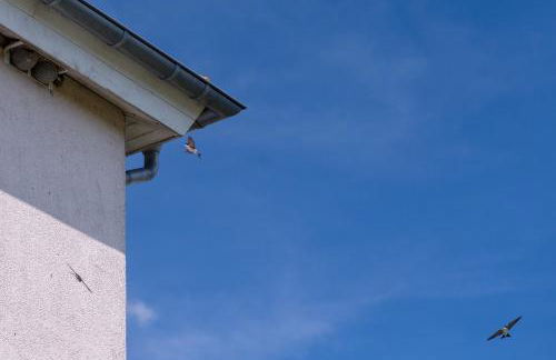 Ferienwohnung Schwalbennest - Foto 46