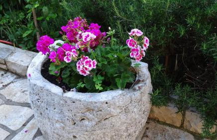 App Sorgo - Photo 35