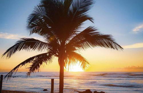 Solar de Manguinhos Flat - Photo 24