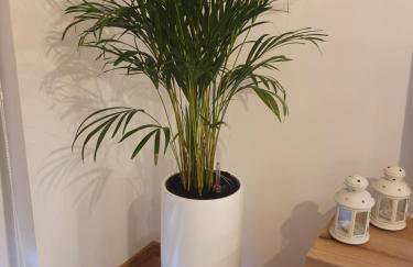 Apartament Number One NOVA WOZOWNIA - Foto 10