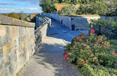 Les Carmes - Photo 11