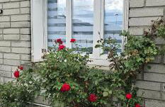 Le Bellevue - Foto 22
