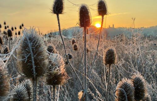 Ferienwohnungen Lausbuben & Zicken - im grünen Herzen Deutschlands - Foto 19