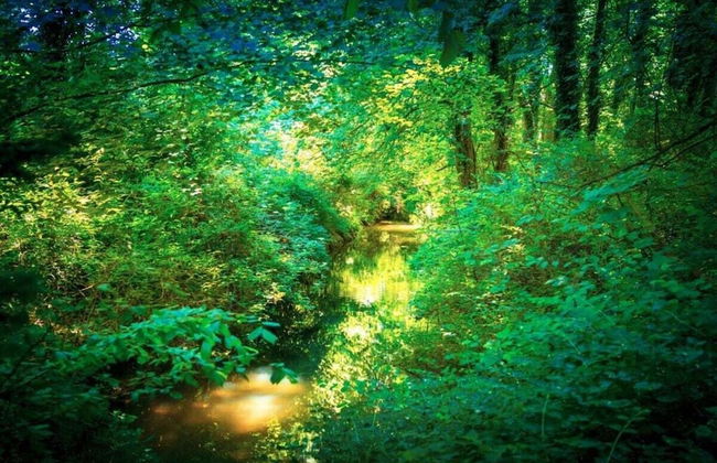 Majestic Apartment in Brakel - Foto 14