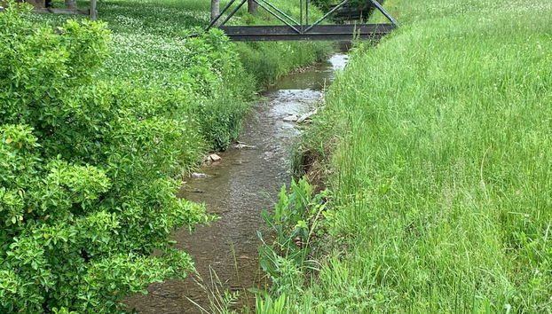 3BR 2bath Gorgeous Country Near Nashville F1 - Foto 4, Habitación