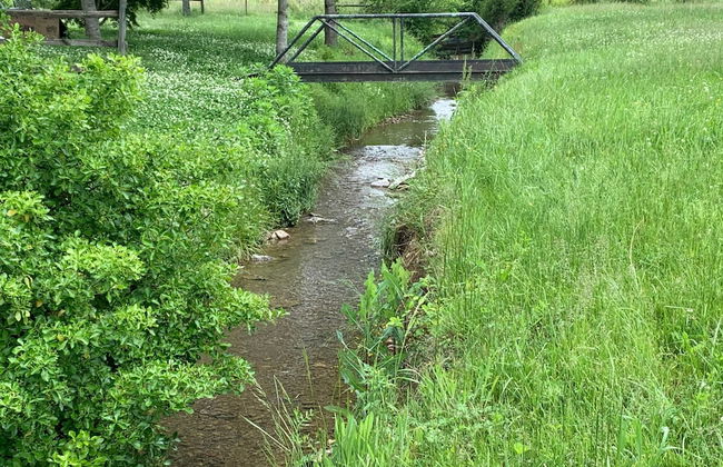 3BR 2bath Gorgeous Country Near Nashville F1 - Foto 4