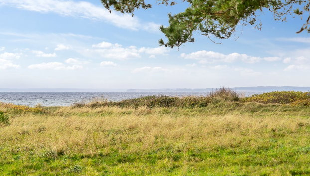 "Thara" - 100m from the sea - Foto 3, Outdoor