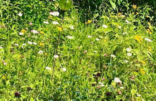 Sadawga Springs Retreat - Foto 32