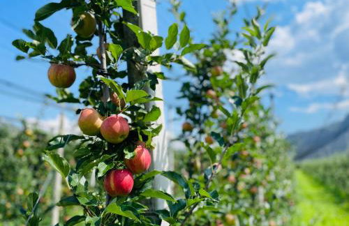 St. Vigilhof - Photo 61