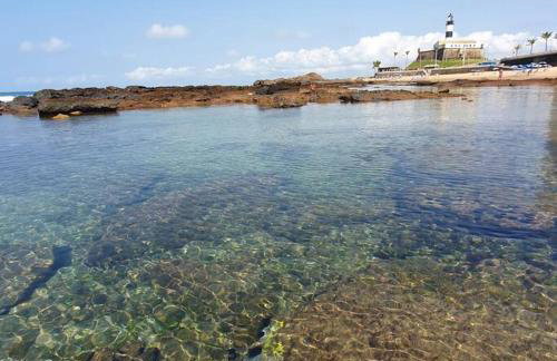 Barra Premium - Foto 37