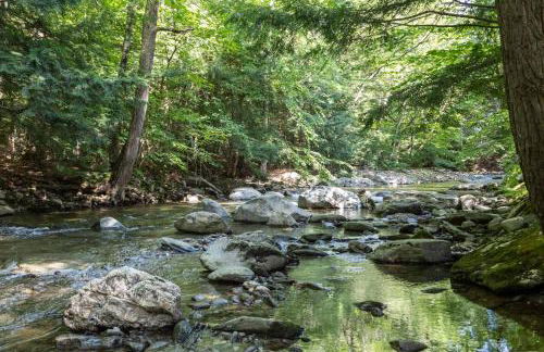 Smuggler's Notch Mountain House with hot tub & river - Foto 60