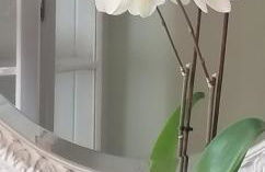 LAVANDA appartamento - Foto 6