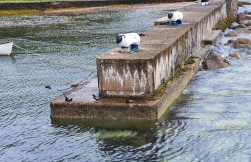 Cromla Cottage - Photo 31