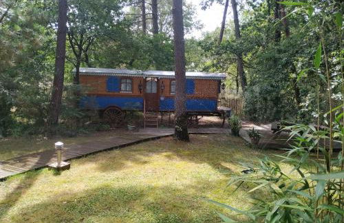 Les roulottes Vesta - Foto 2