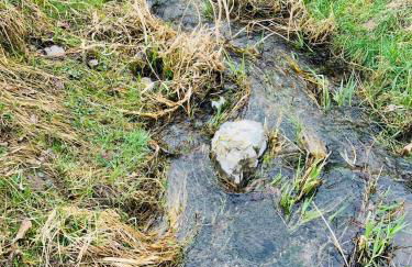 Ferienwohnung Theodor - Wandern am Biggesee - Foto 31
