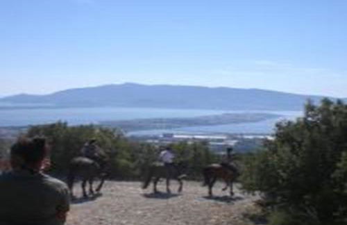 App - Il Fenicottero con parcheggio gratuito ad Orbetello - Foto 49