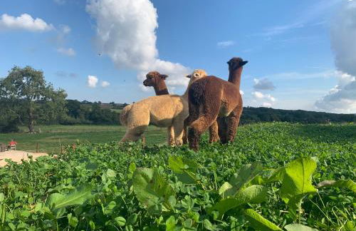 Swallows Nest - Photo 36