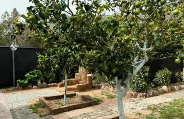 L'Uliveto HOLIDAY HOUSE - Photo 44