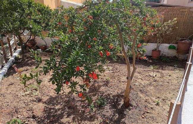 Mar-Jo Holiday Home - Foto 46