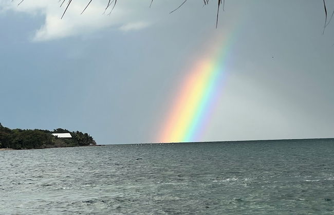 Finca Beachfront Tree house - Foto 20