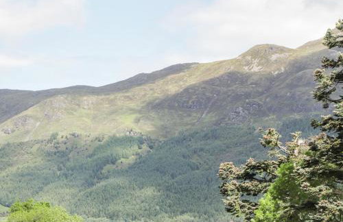 Silver Birch Lodge - Photo 30