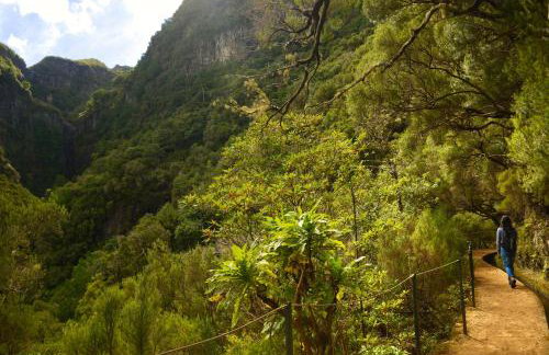 OurMadeira - TerraceSea Apartments - Photo 28