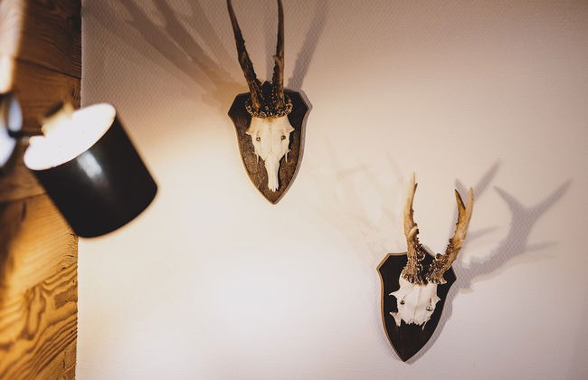 Appartements Enzian by we rent - Foto 5