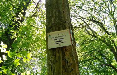 Ferienwohung Stelldichein - Foto 31