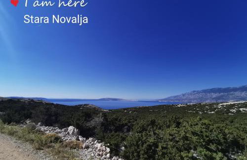 Apartment TinaTeo, Gajac - Photo 52