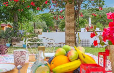 Huerta Valleciruelo Sanlúcar La Mayor by Ruralidays - Foto 24