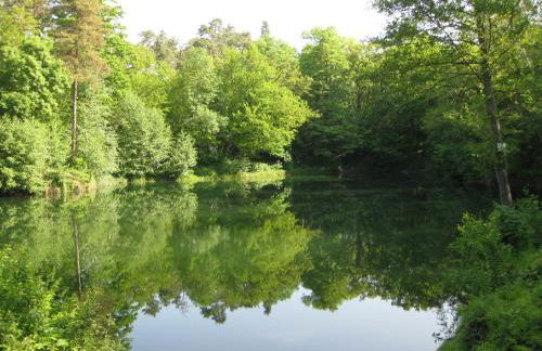 Altstadtapartment - Foto 35