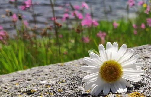 Edelstein Ferienwohnung Philippsreut - Foto 34