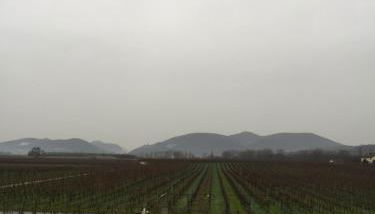 Valley ferienwohnung SÜW - Foto 4