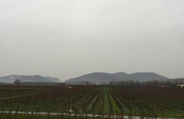 Valley ferienwohnung SÜW - Foto 4