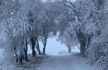 Vista - Domek Wakacyjny w Górach Sowich - Foto 43