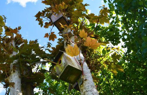 Pazdur Alpirsbach - Foto 29