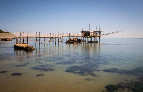 TENUTA FATTORE - Foto 24