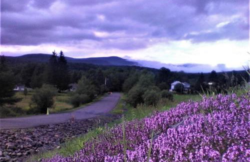 Townhouse W Private Deck & Mt View - Foto 60