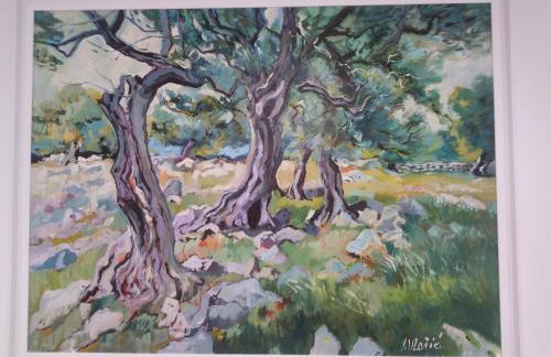 OLIVA 4 STARS - Photo 48