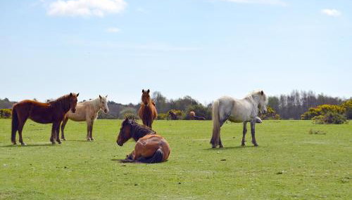 The Old Post Office - Foto 3