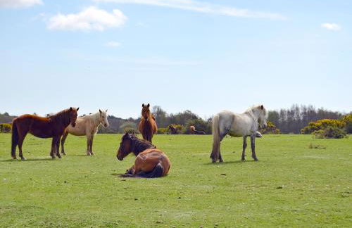 Pond Cottage - Photo 25