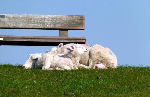 Klaus Jensen , Unter den Linden - Foto 36