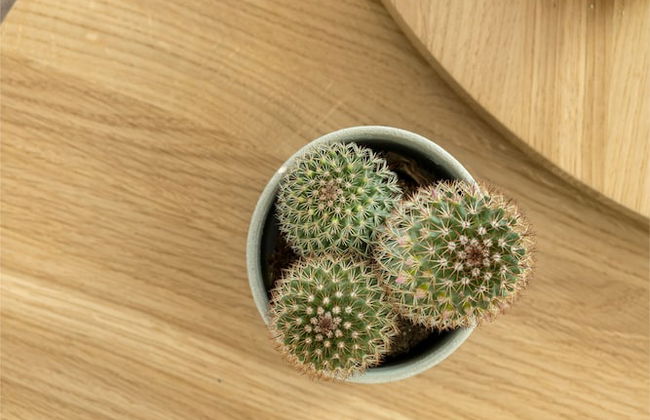 Maryflower Premium Apartments Piraeus - Foto 18