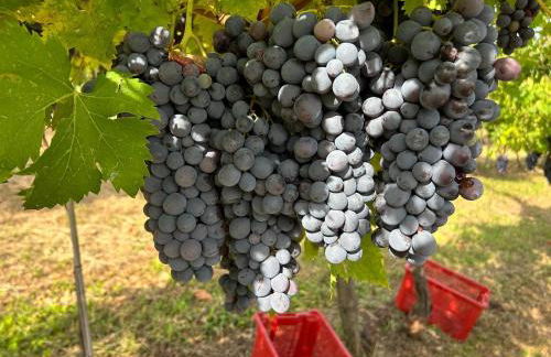 Dimora Valpantena Luminoso appartamento - Foto 60