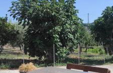 APPARTAMENTO Tamburro - Foto 32