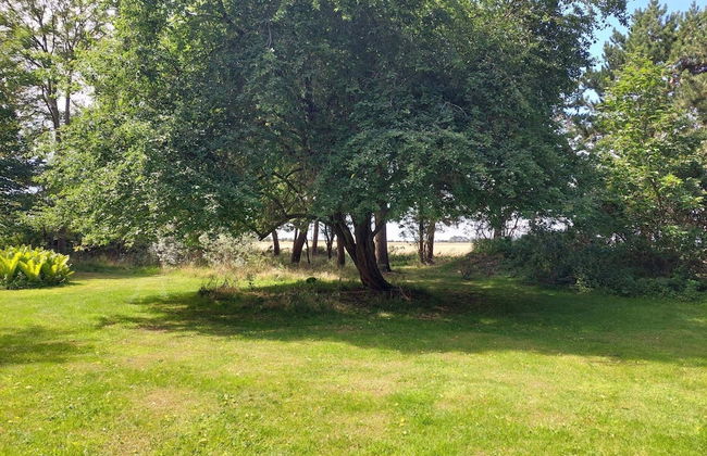 5 Person Holiday Home in Dannemare - Foto 23