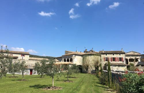 Gite les Oliviers - Le Domaine du Viticulteur - St Maurice d Ibie - Foto 26
